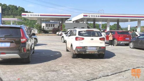高速服务区停车休息需谨慎，避开这些“坑”才能安心出行